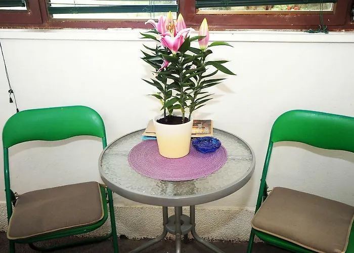 Vilma Apartman Zadar