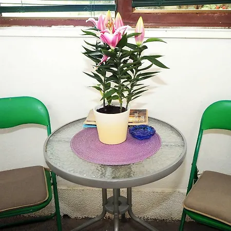 Vilma Appartamento Zara