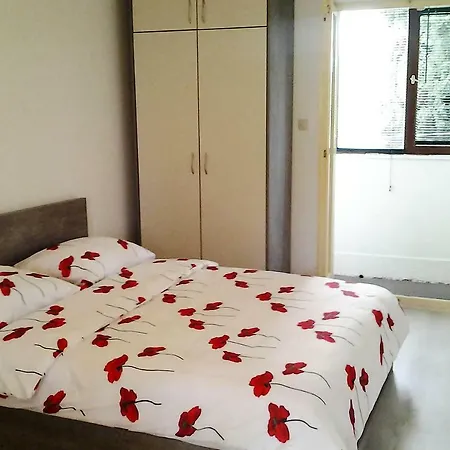 Vilma * Zadar